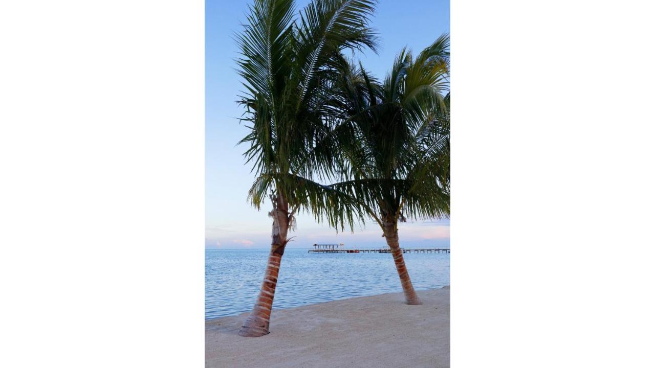 Cheeca Lodge & Spa Islamorada Exteriér fotografie Palm trees on the beach at the Grand Hotel